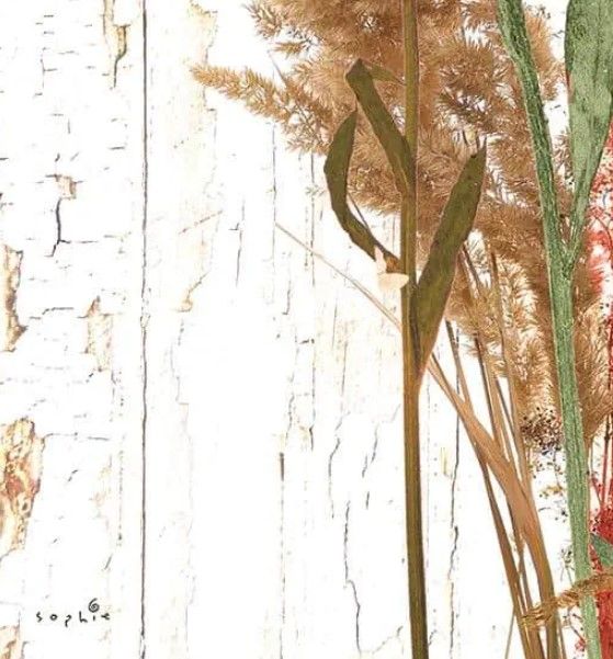 Classy Art Earth Party II by Sophie Six Wall Art-2