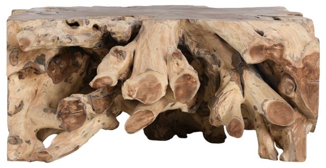 Classic Home Cypress Root Natural Square Coffee Table -1