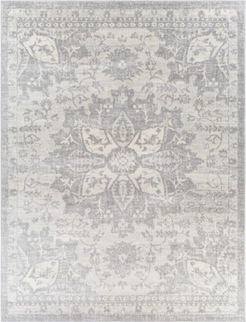 Surya Monaco Gray/Ivory 4'x6' Area Rug-1