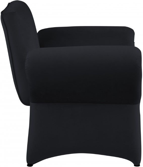 Meridian Furniture Fleurette Black Velvet Accent Chair-3
