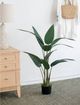 A & B Home Green 45" Birds of Paradise Tree in Pot-2