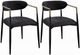ACME Furniture Jaramillo 2-Piece Black Arm Chair Set-0