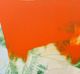 Stylecraft Orange Passion I Canvas Print-1