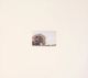 Stylecraft Dann Foley Landscape I Wall Art-1