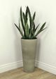 Le Present Caementum Concrete Grey 27" Planter-3