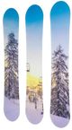 YHD Bluebird Day Wall Art-2