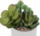 Monarch Specialties Inc. Assorted White 7" Tall Artificial Potted Succulent-1