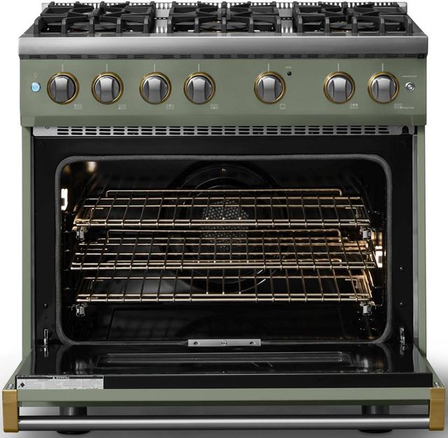 Viking® 5 Series 36" Eucalyptus Pro Style Gas (NG) Range with Brushed Brass Trim-1