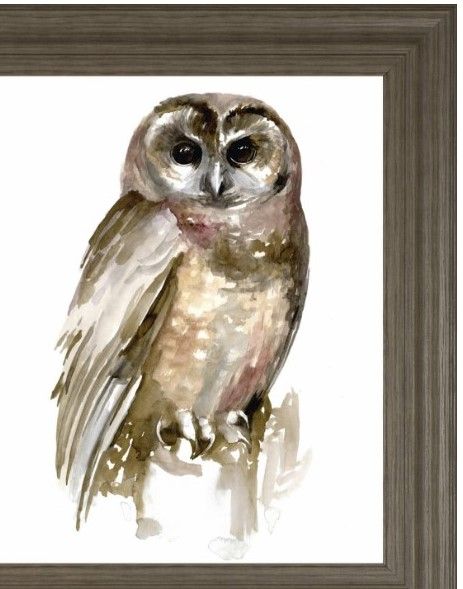 Classy Living Jennifer Paxton Parker Watercolor Owl II Wall Art-1