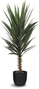 Le Present Agave Green 47" Faux Botanical-0