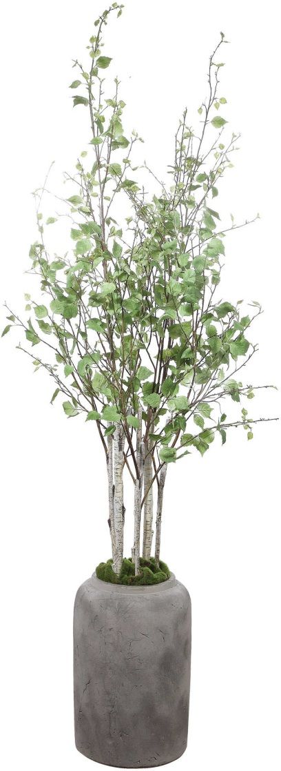 Uttermost® Aldis Aged Stone/Faux Moss Potted River Birch-2
