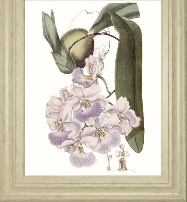 Classy Art Lavender Beauties V by Edwards Wall Art-1