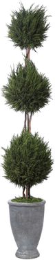 Uttermost® by Constance Lael-Linyard Cypress Triple Topiary-0