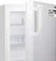 Summit® MOMCUBE™ 2.7 Cu. Ft. White Built In All-Freezer-1