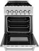 ZLINE Legacy 24" Stainless Steel Pro Style Dual Fuel Range with 4 Burner Gas Cooktop and Electric Convection Oven in White Matte Door-1