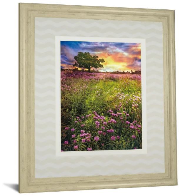 Classy Art Summer Meadows by Celebrate Life Gallery Wall Art-0