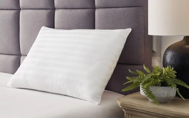 Sierra Sleep® By Ashley® Zephyr White Pillow-3