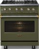 Viking® 5 Series 30" Martini Pro Style Dual Fuel (NG) Range with Brushed Brass Trim-2