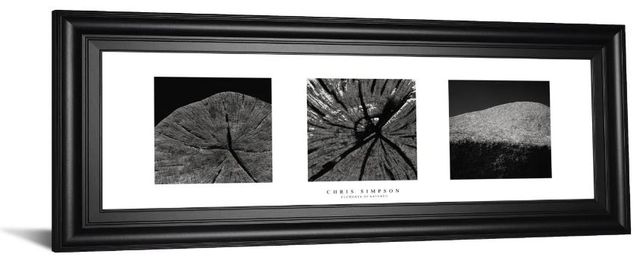 Classy Art Elements of Nature 2 by Chris Simpson Framed Print Wall Art-0