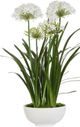 Uttermost® Purity Agapanthus Green/White Centerpiece-2