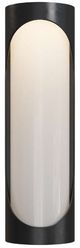Currey & Company Swale Black/White Glass/Metal Large Outdoor Wall Sconce-1