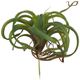 A & B Home Dark Green Faux Spider Plant-0