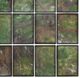 A & B Home 12-Piece Brown/Green Wall Art Set-2
