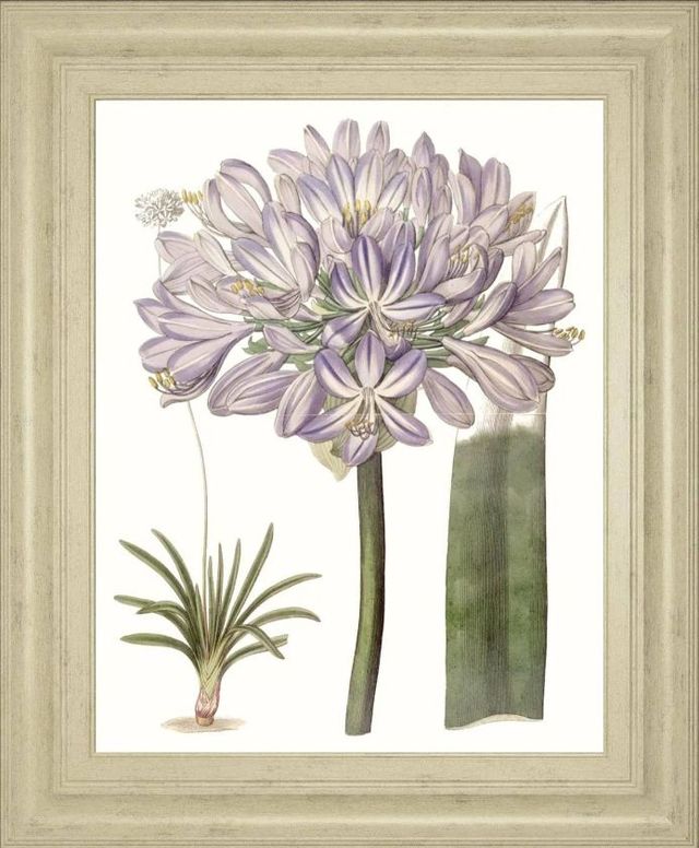 Classy Art Lavender Beauties VI by Edwards Wall Art-0