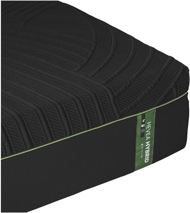 Dreamstar Bedding Genesis Collection Hevea 14" Hybrid Soft Smooth Top California King Mattress-2
