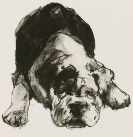 Stylecraft Framed Print Under Glass Modern Dog III Wall Art-1