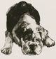 Stylecraft Framed Print Under Glass Modern Dog III Wall Art-1