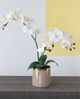 A & B Home Gold/White Artificial Orchid in Striped Pot-1