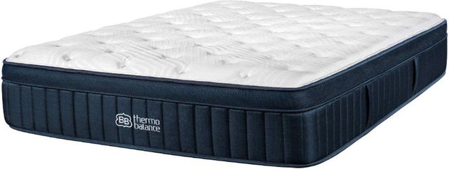 Brooklyn Bedding ThermoBalance LX 14" Hybrid Plush Euro Top Queen Mattress in a Box-0