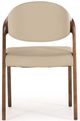 VIG Furniture Modrest Arlo 2-Piece Beige/Walnut Dining Chair Set-1