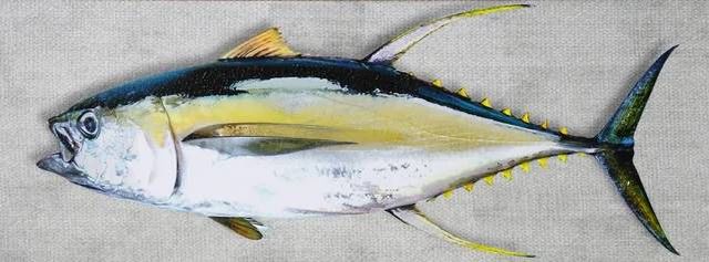 StyleCraft Yellowfin Tuna Wall Art-1