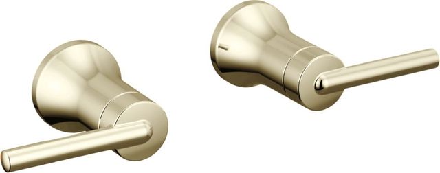 Delta Trinsic® Polished Nickel Lever Handle -Wall Mount Lav-0