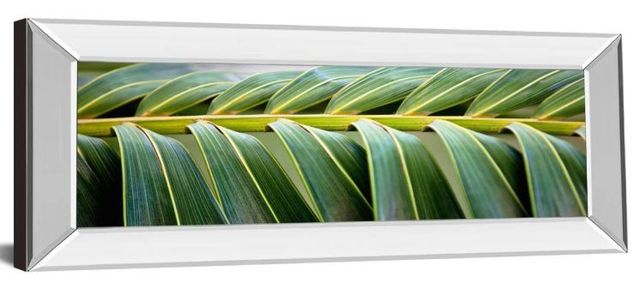 Classy Art Palma I by Susan Bryant Mirror Framed Wall Art-0