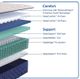 Sealy® Desert Rose 12.5" Wrapped Coil Firm Tight Top Full Mattress-3