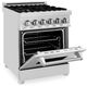 ZLINE 24" Stainless Steel Pro Style Dual Fuel Range-2