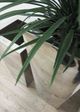 Le Present Chroma Classik Mirror 28" Planter-5