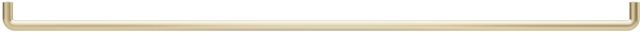 Zephyr Mesa Satin Gold Range Hood Accent Rail-0