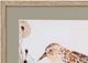 Bassett Mirror Shell Peppers IV Wall Art-1