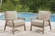 Signature Design by Ashley® Grover Beach 2-Piece Beige/Driftwood Plastic Outdoor Lounge Chair-1