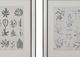 A & B Home Liana 2-Piece Green/Yellow Wall Art-1
