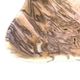 A & B Home Fernando Black/Gray/White Hand-Carved Zebra Onyx Bowl-1