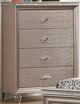 Furniture of America® Allie Rose Gold Chest-0