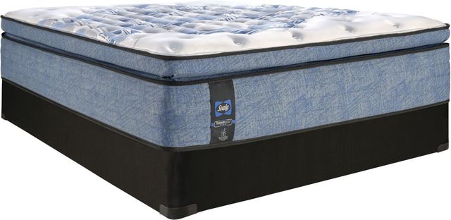 Sealy® Posturepedic® Plus Jacob 15.5" Wrapped Coil Soft Euro Pillow Top Queen Mattress-2