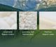 Birch Natural Mattress Twin XL-4