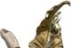 Signature Design by Ashley® Darinsen Gold/Silver Sculpture-1