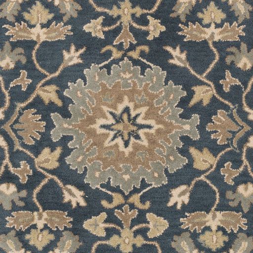 Surya Caesar Navy Multi-Color 8'x11' Area Rug-1